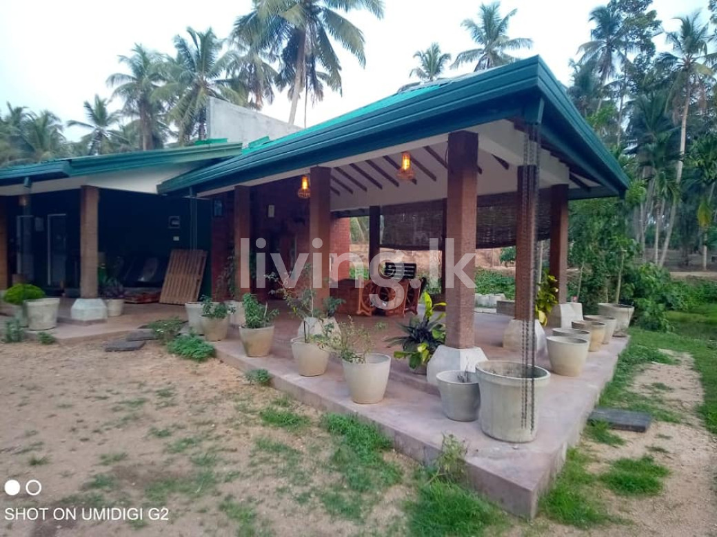 ගම්පහ දිස්ත්රික්කයේ දිවුලපිටිය නගරයට ආසන්නයේ ඉඩමක්