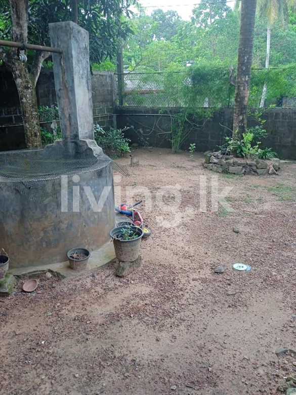 දිවුලපිටිය නගරයේ නිවස සහා ඉඩම විකිනීමට