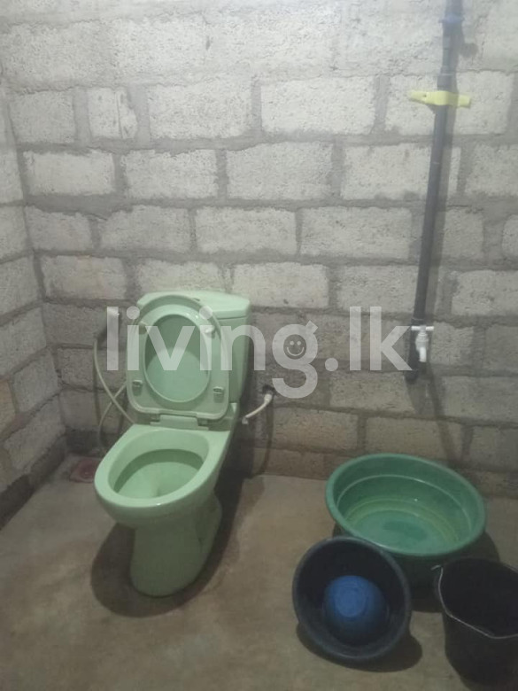 දිවුලපිටිය කුඩගම්මන නිවස විකිනීමට