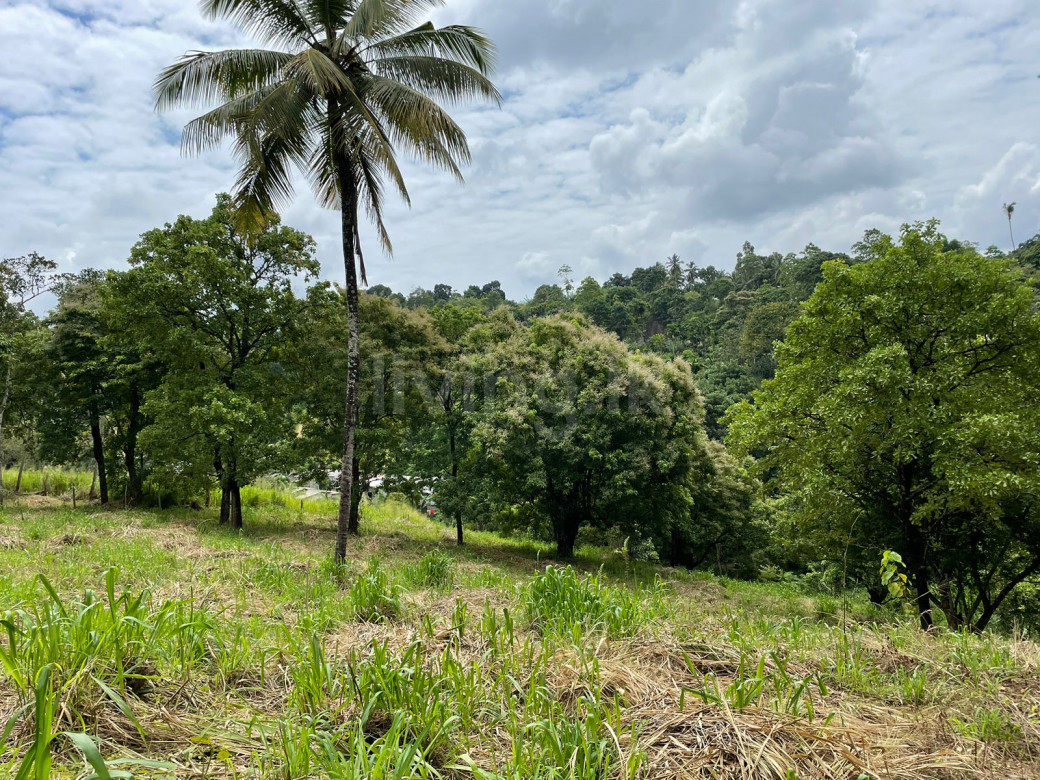 land for sale Kandy - Naranwala