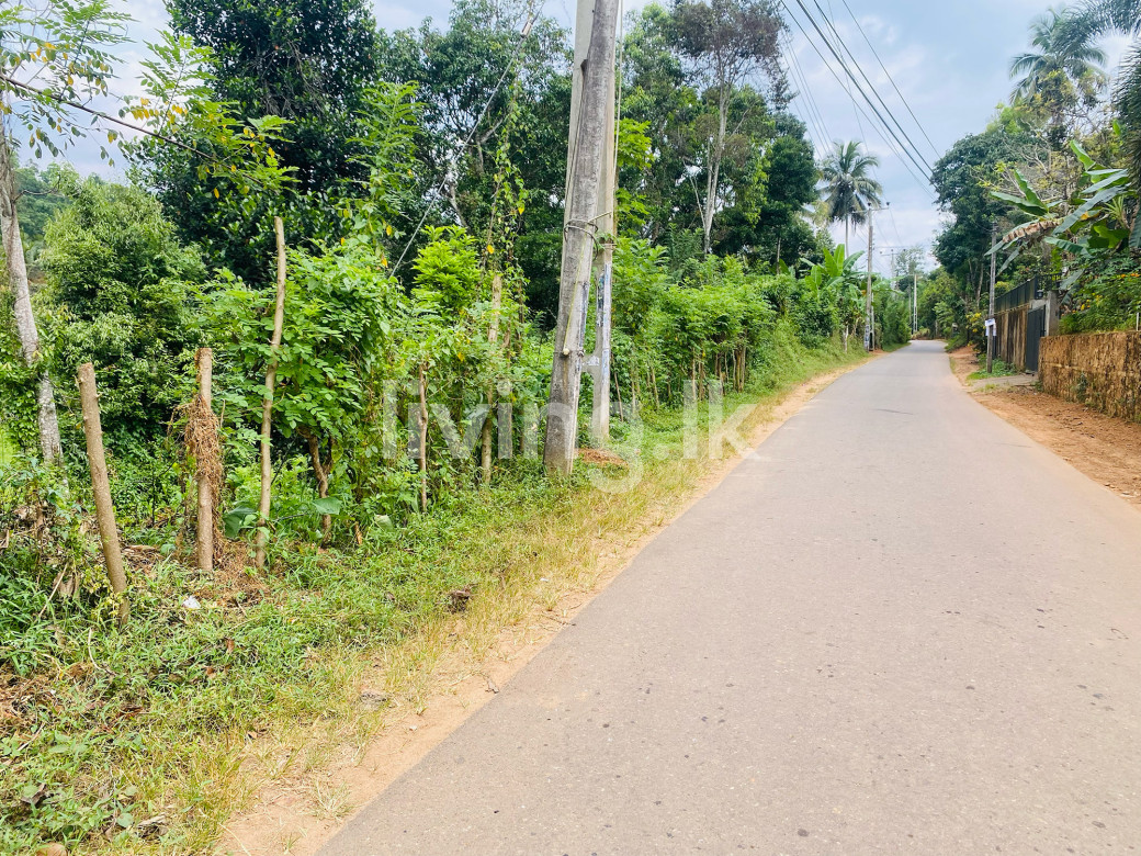 Land for sale Balangoda