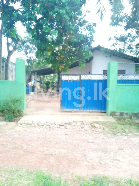 දිවුලපිටිය නගරයේ නිවස සහා ඉඩම විකිනීමට