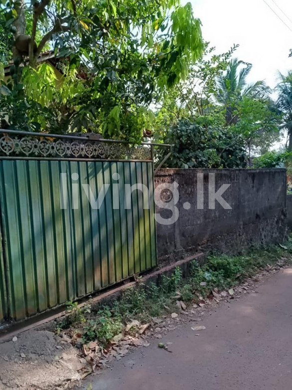 ගම්පහ දිස්ත්‍රික්කයේ දිවුලපිටිය   නගරයට  ආසන්නයේ  නිවසක් ඉක්මනින් විකිණීමට