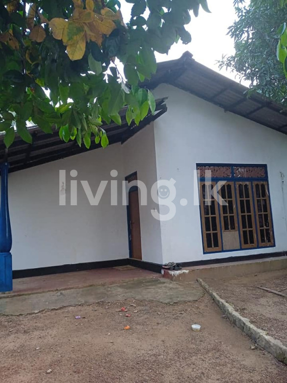 දිවුලපිටිය නගරයේ නිවස සහා ඉඩම විකිනීමට