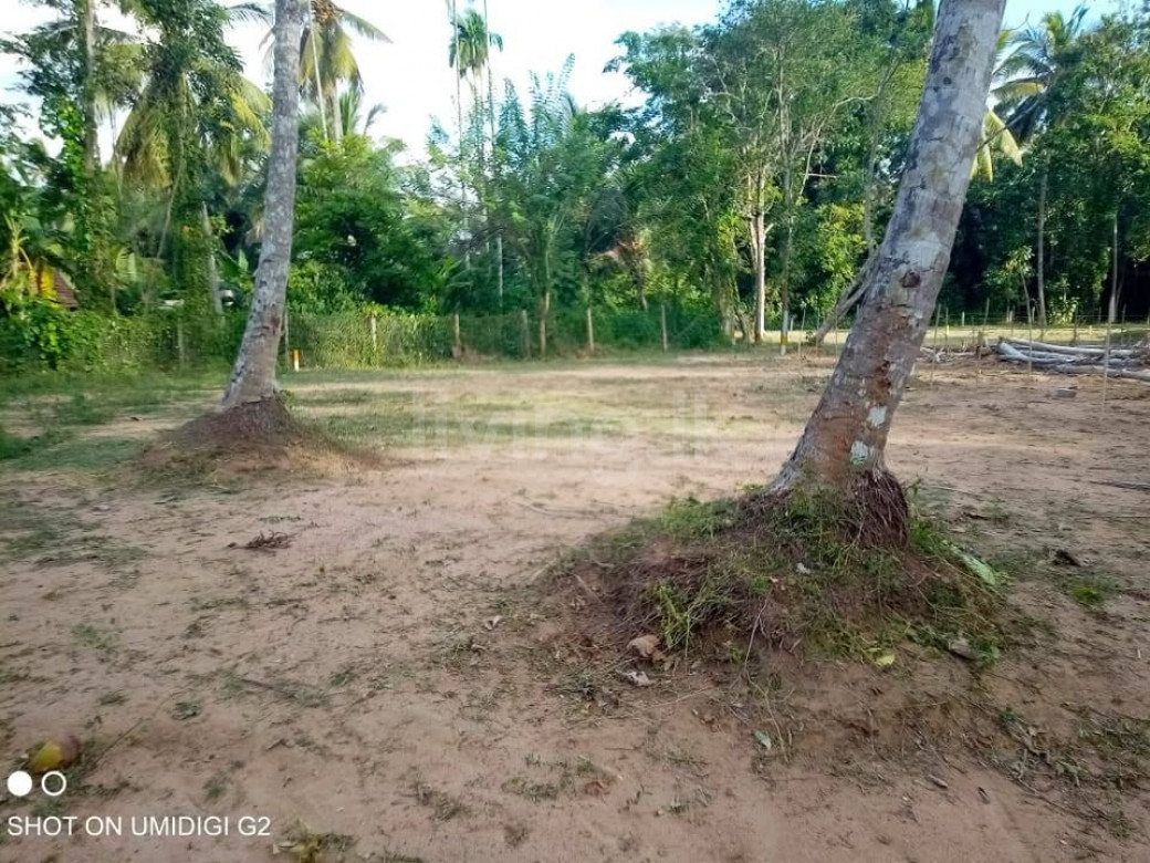 Gampaha Kudagammana Land for sale for Residential