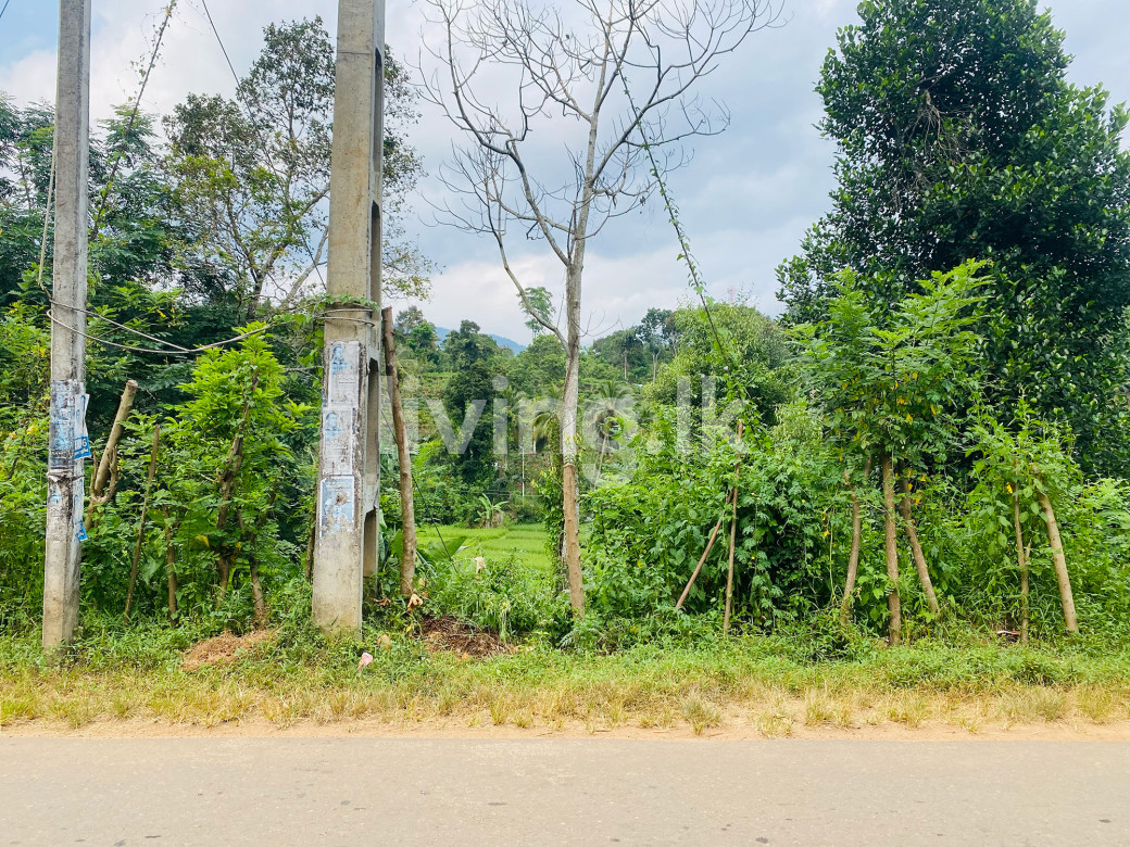 Land for sale Balangoda