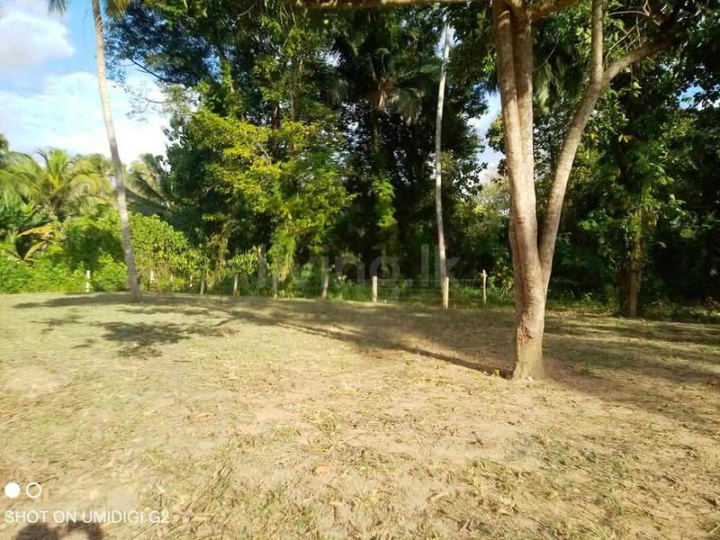 Gampaha Kudagammana Land for sale for Residential
