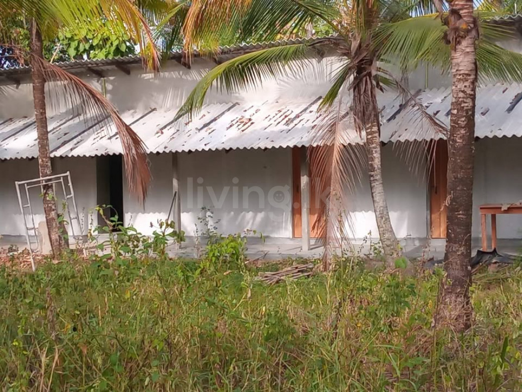 Coconut land for sale Divulapitiya