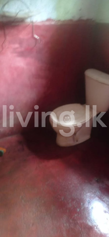 දිවුලපිටිය නගරයේ නිවස සහා ඉඩම විකිනීමට
