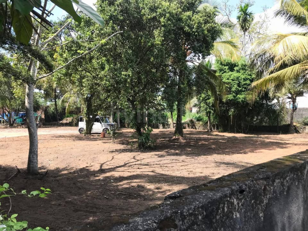 Land for sale kelaniya