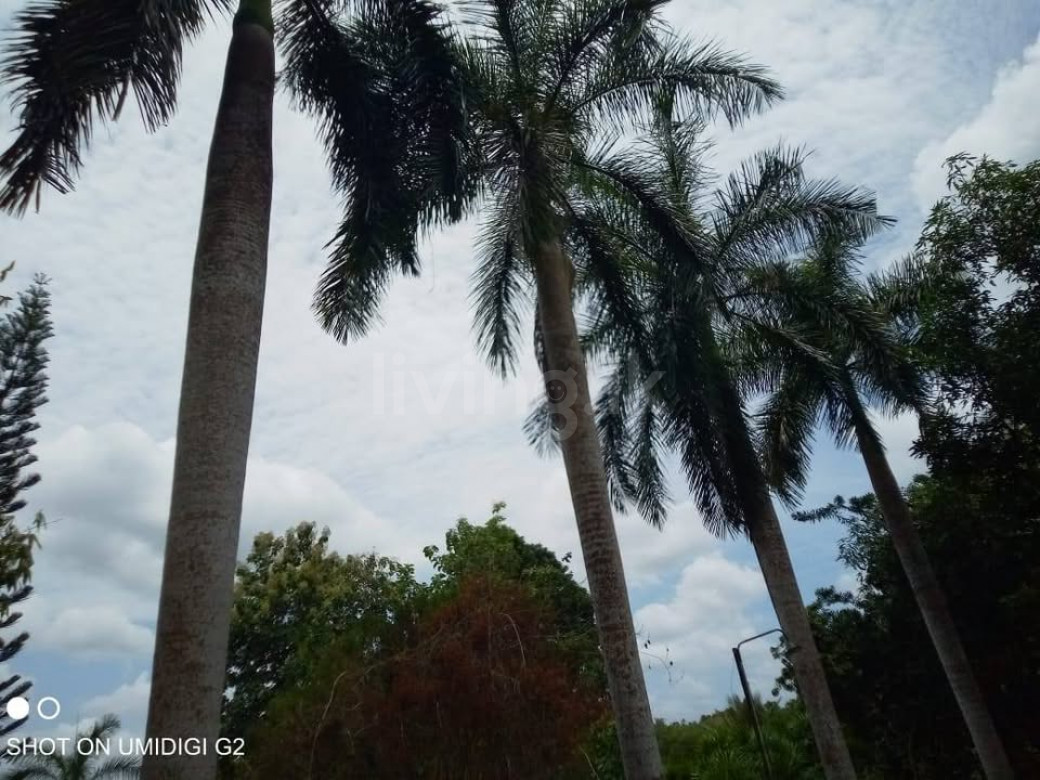 තෙමහල් ගොඩනැගිල්ල ඉක්මනින් විකිණීමට