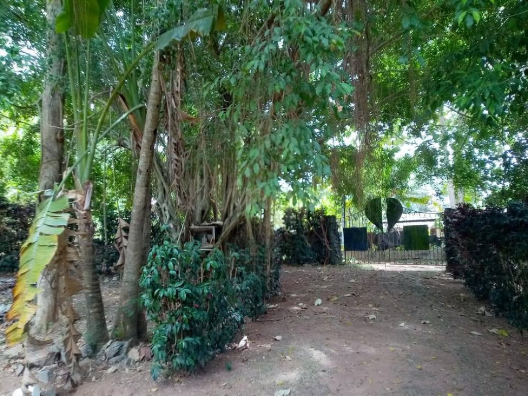 තෙමහල් ගොඩනැගිල්ල ඉක්මනින් විකිණීමට