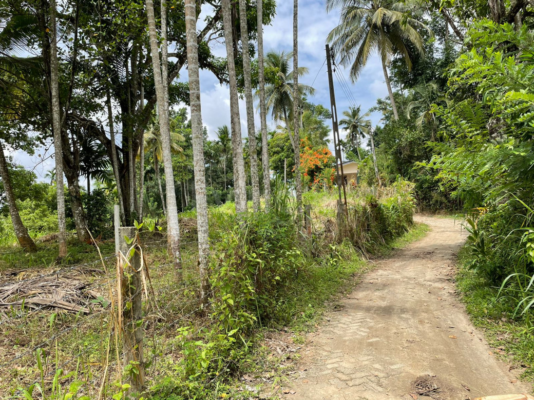 land for sale Kandy - Naranwala