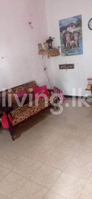 දිවුලපිටිය නගරයේ නිවස සහා ඉඩම විකිනීමට