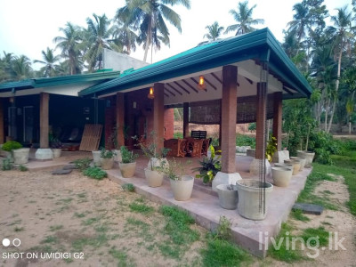 ගම්පහ දිස්ත්රික්කයේ දිවුලපිටිය නගරයට ආසන්නයේ ඉඩමක්