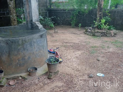 දිවුලපිටිය නගරයේ නිවස සහා ඉඩම විකිනීමට