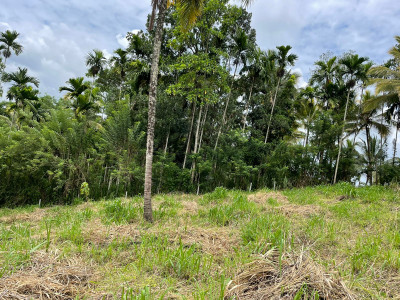 land for sale Kandy - Naranwala