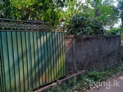ගම්පහ දිස්ත්‍රික්කයේ දිවුලපිටිය   නගරයට  ආසන්නයේ  නිවසක් ඉක්මනින් විකිණීමට