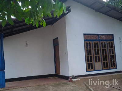 දිවුලපිටිය නගරයේ නිවස සහා ඉඩම විකිනීමට