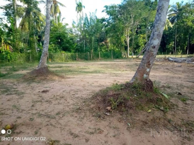 Gampaha Kudagammana Land for sale for Residential