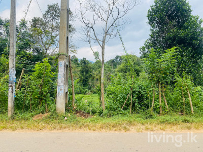 Land for sale Balangoda