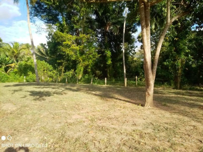 Gampaha Kudagammana Land for sale for Residential