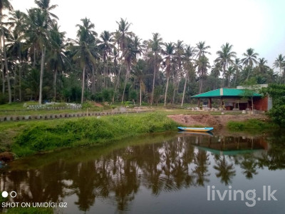 ගම්පහ දිස්ත්‍රික්කයේ දිවුලපිටිය  නගරයට ආසන්නයේ ඉඩමක්