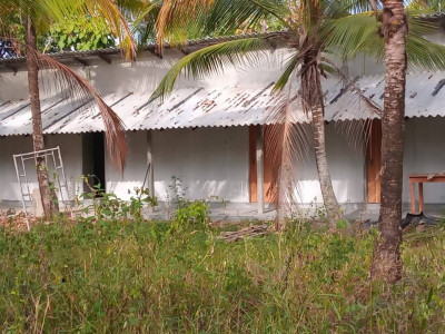 Coconut land for sale Divulapitiya