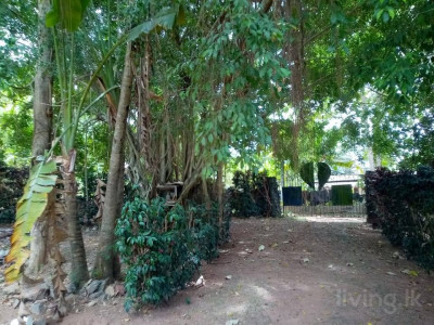 තෙමහල් ගොඩනැගිල්ල ඉක්මනින් විකිණීමට