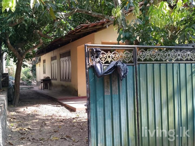 ගම්පහ දිස්ත්‍රික්කයේ දිවුලපිටිය   නගරයට  ආසන්නයේ  නිවසක් ඉක්මනින් විකිණීමට