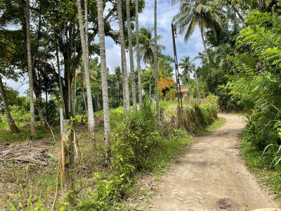 land for sale Kandy - Naranwala